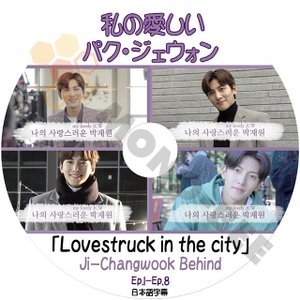 [K-POP DVD] JI-Changwook Behind 私の愛しいパクジェウォン 日本語字幕あり -Lovestruck in the city-JI-Changwook[K-POP DVD] - mono-bee